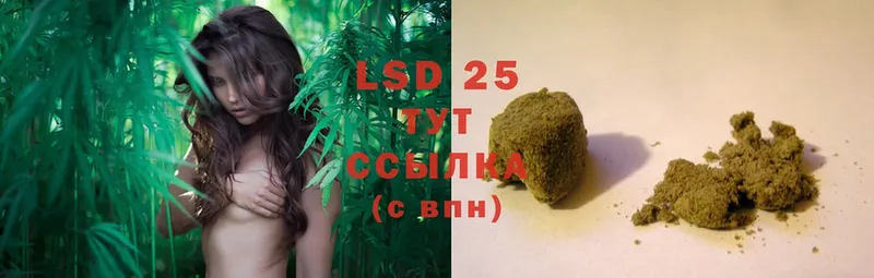 LSD-25 экстази ecstasy  дарнет шоп  Гусев 